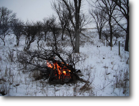 Continuing the annual winter brush burning.