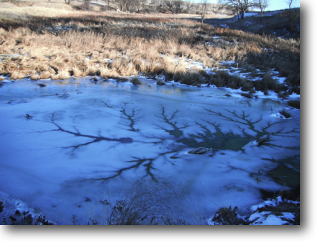 Interesting ice pattern radiating from above the spring in the southern-most pond.