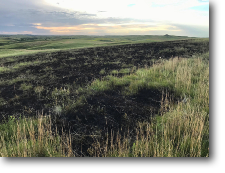 Later that afternoon we inspected a prairie fire that was started by lightning.