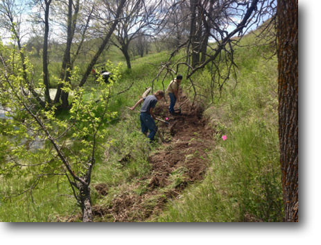 Corey and Jeramie creating a connecting path for one of the trails.