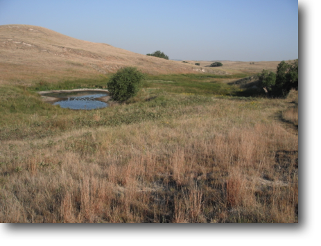 It was a very dry year, as can be seen by the low water level of the pond.