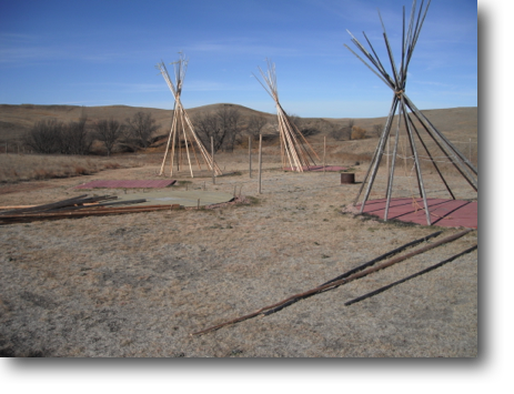 Extremely high winds nearly blew over these three sets of tipi poles.