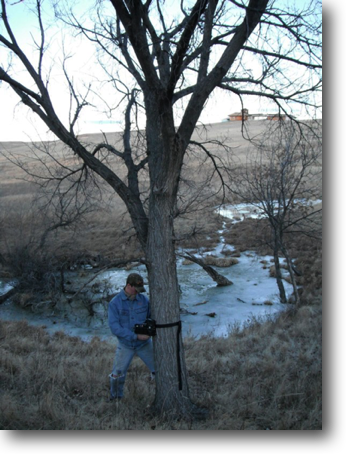 Dan installing his "game camera" along a deer trail by the springs.
